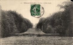 CPA Villers Cotterets Le Park Allee Royal
