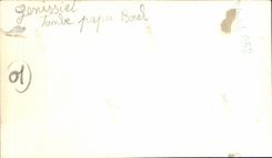 Photo Genissiat falls Borel dad