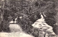 CPA Divenne les Bains Parc de l Etablissement hydrotherapique Sous Bois Vers la Source