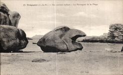 CPA Tregastel Ses curieux rochers Le Perroquet de la Plage