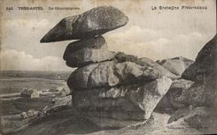 CPA Tregastel Le Champignon