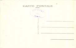 CPA Dimensions Emeraude Cape Frehel the Cliffs (Fauconniere)