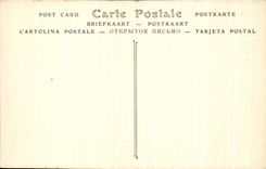 CPA Tregastel Primel (Finistere) the Point of Primel