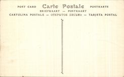 CPA Tregastel Primel (Finistere) View