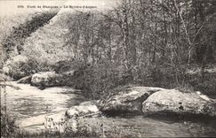 CPA forest of Huelgoat the River Money