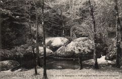 CPA forest of Huelgoat View of the pond to wild boars
