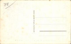 CPA Large Hotel Collar of Schlucht