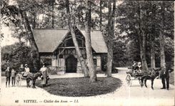 CPA Vittel Chalet des Anes Ane Donkey 