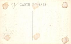 CPA Courances Le Chateau et le Miroir