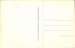 CPA Loches Le Royal Castle Chestnut tree plants by Francois 1st