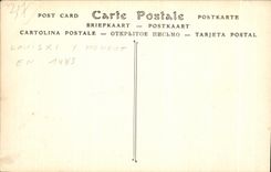 CPA Chateau de Plessis Lez Tours