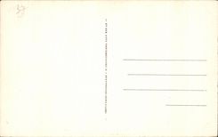 CPA Plessis les Tours Le Chateau (Mon His) Facade Ouest Ancienne demeure du Roi Louis