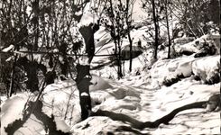 CPA Valloire Sous Bois Chapelle Saint Pierre