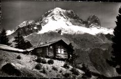 CPA Au Pays Du Mont Blanc Chalet Savoyard Des hauts alpages