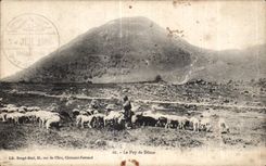 CPA Puy De Dome Sheep Sheep Shepherd