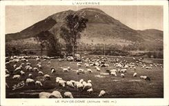 CPA Auvergne Puy De Dome Sheep Sheep