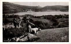 CPA Auvergne the Lake Chambon Cows Peasant