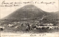 CPA Puy de Dome Shepherd and sheep