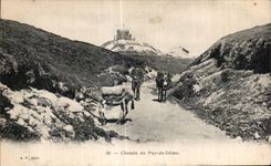 CPA Way of Puy de Dome Ass Donkey