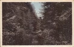 CPA Saint Germain Herm Aspect of the forest