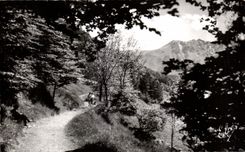 CPA the Mount Gilds Sancy (Puy de Dome) Escaped on the Valley At the bottom Sancy