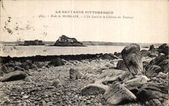 CPA Rade de Morlaix L lle Louet le Chateau du Taureau