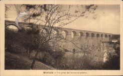 CPA Morlaix Vue prise des Jardins suspendus