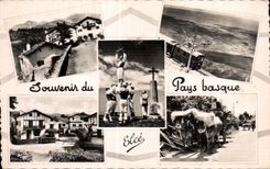 CPA Souvenir Basque Country Oxen Coach