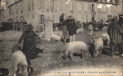 CPA the Pyrenees market with the Pigs Pigs