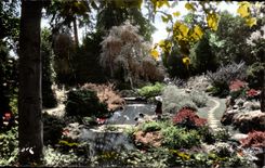 CPA Pau With the Baumont park the garden English