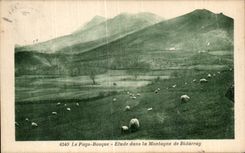 CPA the Basque Country Details in the Mountain of Bidarray