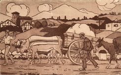 CPA Pays Basque On the Jacques Road the Tanner