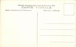 CPA Lourdes (Hautes Pyrenees) L Esplanade pendant la Procession du Saint Sacrement