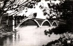CPA Environs De Brest Pont de Plougastel Daoulas a travers les Pins