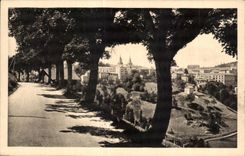 CPA La Louvesc Ardeche Vue generale et Boulevard des Elegants