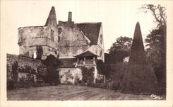 CPA Senlis (Oise) Ruins of the Old Castle