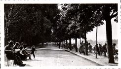 CPSM Vichy les quais de l Allier