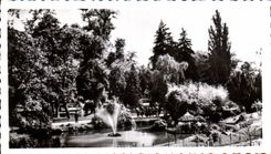 CPSM Vichy Dans les grands parcs Le bassin des cygnes