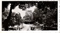 CPSM Vichy parc des Celestins 