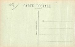 CPA Vichy Sur le Vieux Parc La Grande Allee