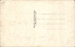 CPA Vichy Le Pont sur I Allier et Bellerive