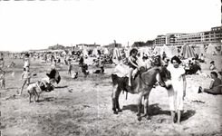 CPA Berck Plage La Plage Ane Donkey Enfant