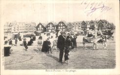 CPA Berck Plage La Plage Ane Donkey