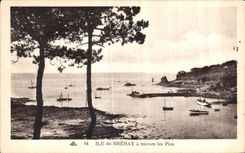 CPA Ile de Brehat a travers les Pins
