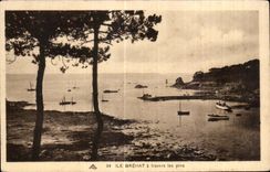 CPA Ile de Brehat a travers les pins