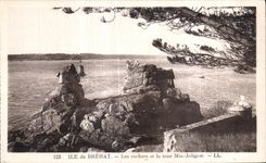 CPA Ile de Brehat Les rochers et la tour Miu Joliguet 
