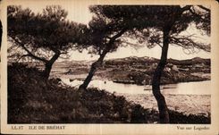 CPA Ile de Brehat Vue sur Logodec
