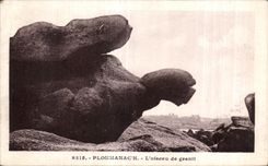 CPA Ploumanac h L oiseau de granit