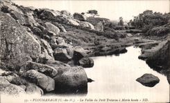 CPA Ploumanac h La Vallee du petit Troierou a Maree haute