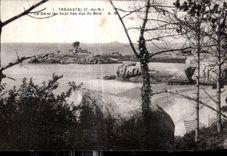 CPA Tregastel Le De et les Sept ILes Vus du Bois